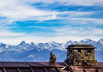 Amritsar Shimla Manali Dharamshala Dalhousie Chandigarh