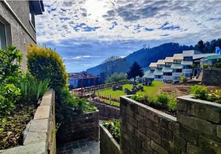 Chandigarh to Shimla Manali Tour