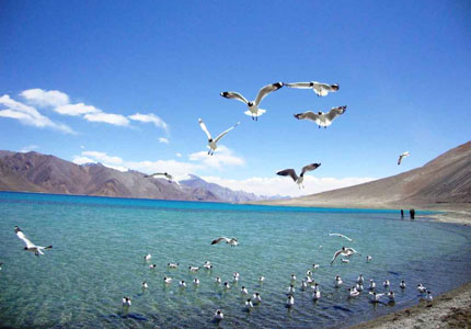 Ladakh Tour Packages
