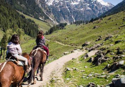 Chandigarh to Patnitop Srinagar 7 Days Tour