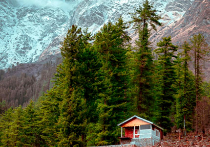 Delhi to Manali Kasol Tour