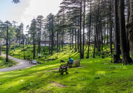 Chandigarh to Patnitop Srinagar Tour